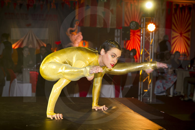 événment cirque, genève, président wilson, suisse, événement cirque genève, artistes de cirque