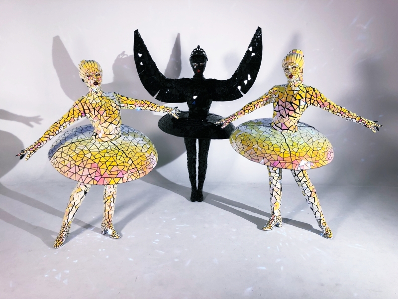 le cygne noir, cygne miroir, danseur miroir, danseurs miroir, danseur ballet, ballet miroir, costumes miroirs