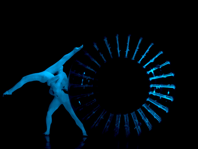 Danseurs lumineux, chrysalide, danse chrysalide, led danseurs, led contorsion, led contorsionnistes, show de nuit, performance nocturne, show lumineux, contorsion lumineuse, roue led