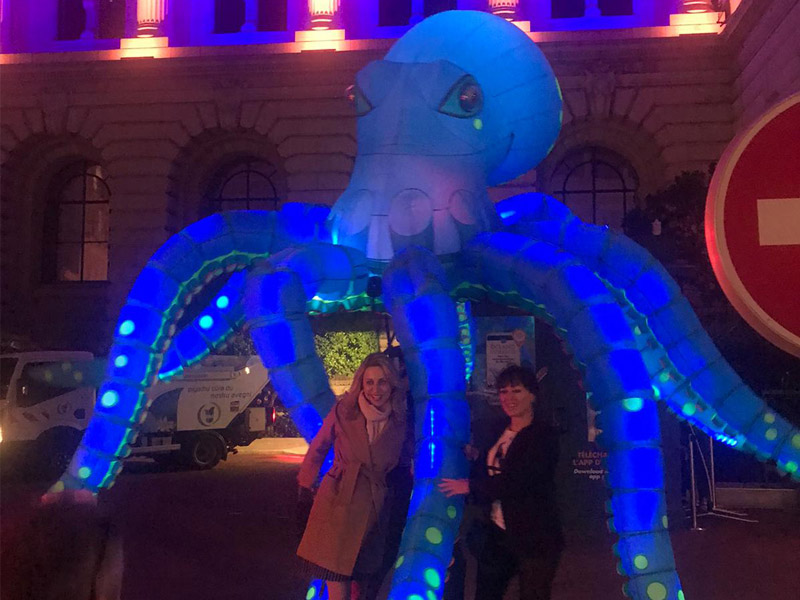 Poulpe éclairé, poulpe à led, méduses éclairées, méduses à led, événement sur le thème de la mer, événement sur le thème de l'eau, événement marin de la mer, événement océanique, spectacle marin, spectacle marin