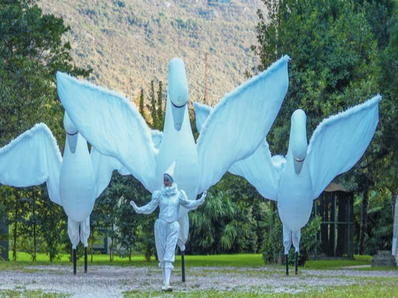 Cygnes led, cygnes lumineux, cygnes Echassiers, cygnes parade, Echassiers lumineux, parade lumineuse, parade led