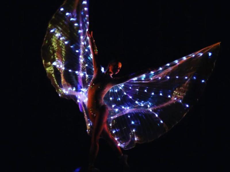 danseuse LED pour événements, animation futuriste entreprise, performeuse défilé lumineux, danse LED Paris, isis wings danseuse, performance LED événement, Pavillon Royal Paris, animation soirée entreprise, artistes lumineux, danseurs LED événement corporatif
